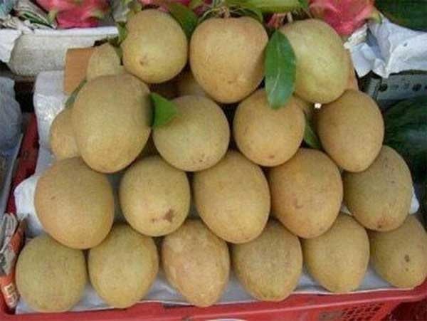 Bí quyết chọn hồng xiêm ngon không ngâm hóa chất, mẹ nào cũng nên biết-1