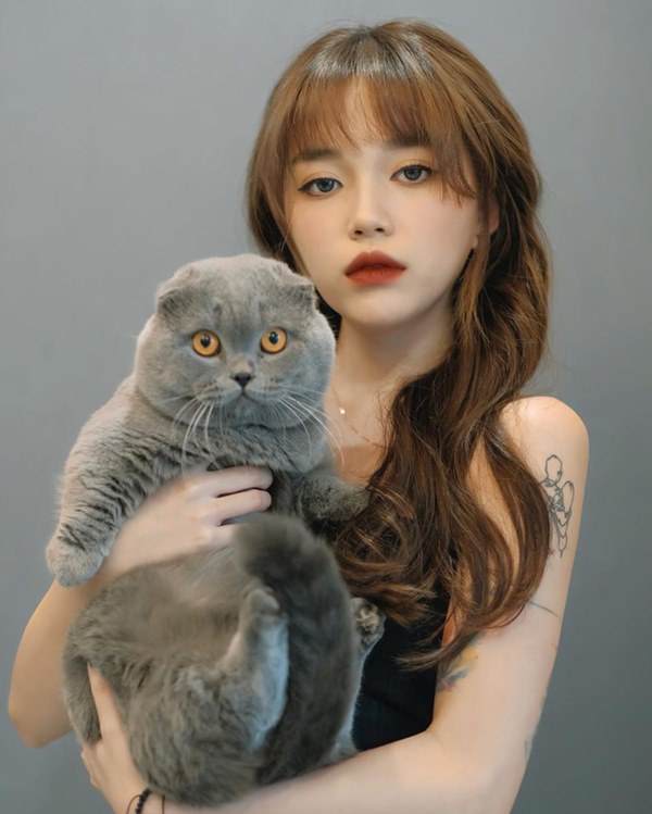 Bóc giá dàn thú cưng của hội trai xinh gái đẹp: Nghìn đô là chuyện bình thường, thần thái sang chảnh đã nói lên tất cả-2