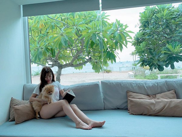 Bóc giá dàn thú cưng của hội trai xinh gái đẹp: Nghìn đô là chuyện bình thường, thần thái sang chảnh đã nói lên tất cả-36