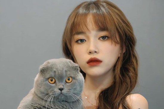 Bóc giá dàn thú cưng của hội trai xinh gái đẹp: Nghìn đô là chuyện bình thường, thần thái sang chảnh đã nói lên tất cả