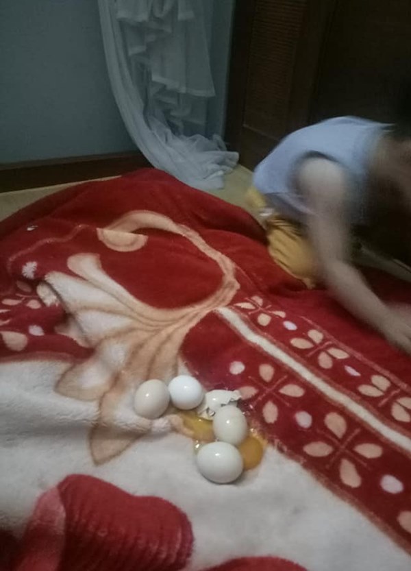 Đang trông con bỗng linh cảm điều bất thường, bà mẹ trẻ vội đi tìm thì bắt được cu cậu đang chơi trò ấp trứng, kết quả sau đó khiến mẹ phát điên”-1