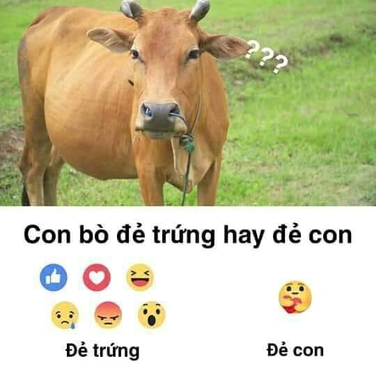 Làm cách nào để có icon biểu cảm Thương thương mới của Facebook?-6