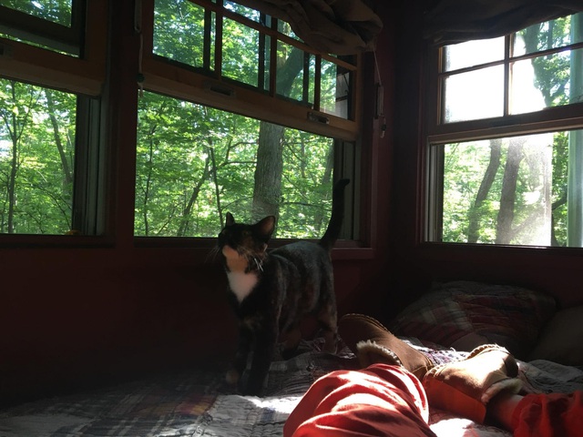 Ngôi nhà đẹp mê hồn giữa tuyết trắng của nữ nhà văn Việt-8