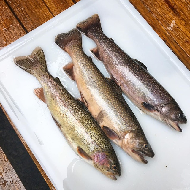 Ngôi nhà đẹp mê hồn giữa tuyết trắng của nữ nhà văn Việt-11