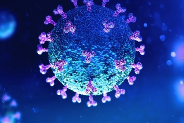 WHO khẳng định virus SARS-CoV-2 có nguồn gốc tự nhiên-1