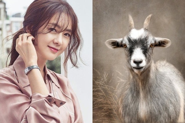 7 ngày tới, 3 con giáp có khả năng cao được thăng quan tiến chức, thưởng nóng nhờ thành tích cao-3