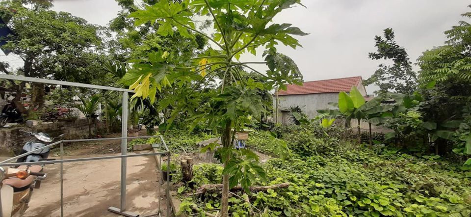 5 năm tiết kiệm mua liền 2 mảnh đất tiền tỷ chỉ từ 150 triệu của cô gái tuổi 29-1