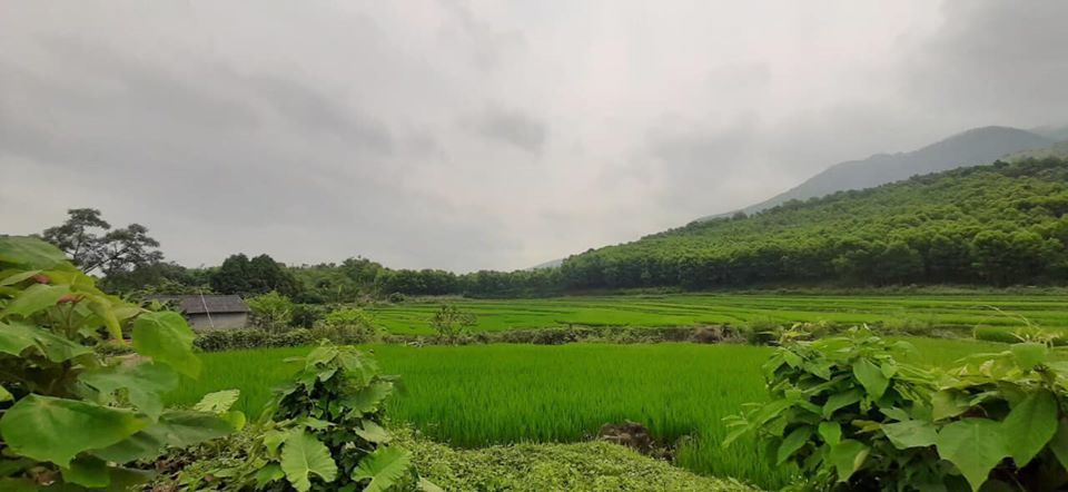 5 năm tiết kiệm mua liền 2 mảnh đất tiền tỷ chỉ từ 150 triệu của cô gái tuổi 29-2