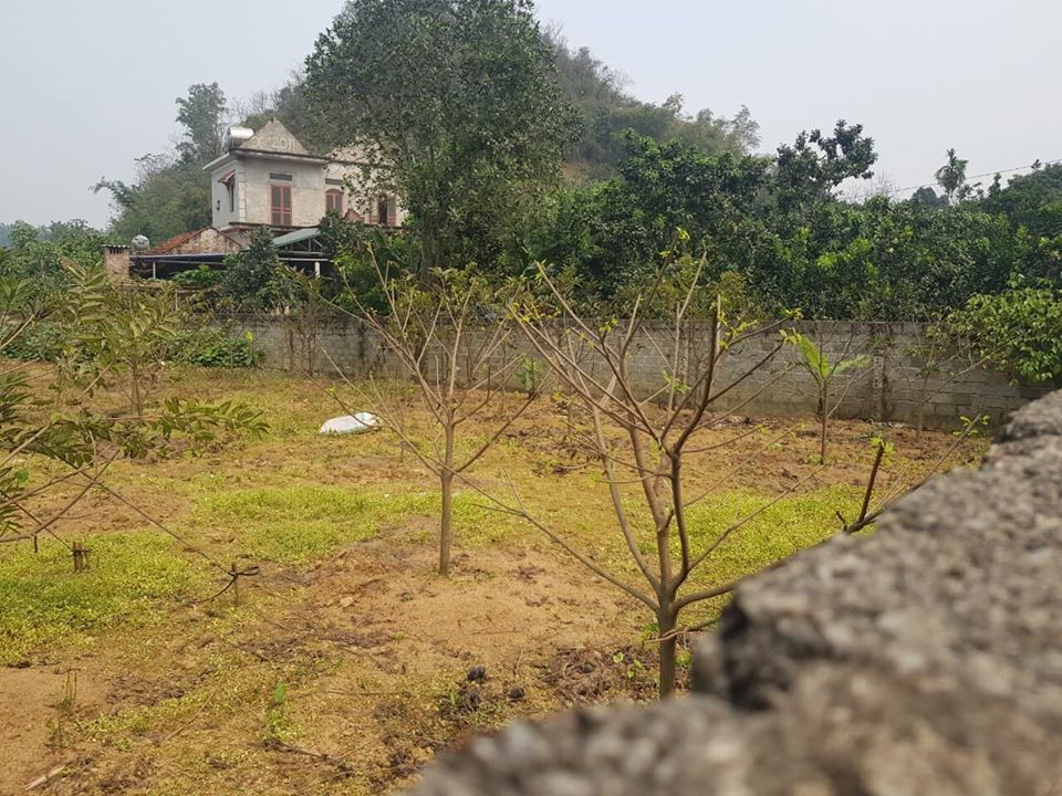 5 năm tiết kiệm mua liền 2 mảnh đất tiền tỷ chỉ từ 150 triệu của cô gái tuổi 29-4