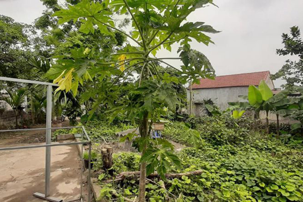 Tháng tiết kiệm 5 triệu, sau 10 năm 9x tỉnh lẻ tậu nhà Thủ đô-3