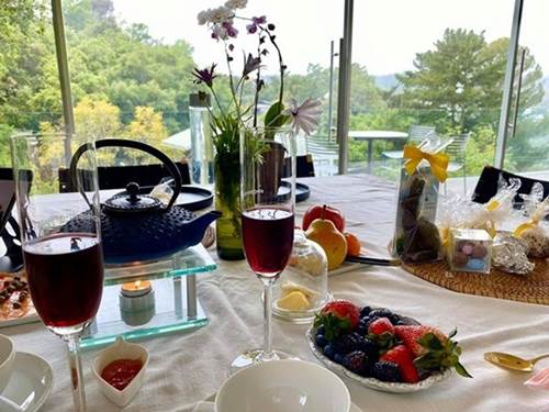 Cho con sang Mỹ chơi, ca sĩ Hồng Nhung hé lộ nhà trên đồi sang chảnh giữa trời Tây-3