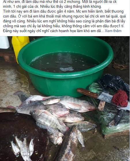 Bị chị chồng mắng mợ tham vậy khi xin con cá mang đi, không ngờ chỉ nhờ tiếng giậm chân phía sau mà vị thế thay đổi hẳn-1