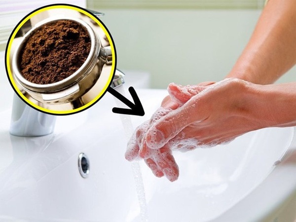 Rắc bã cà phê xung quanh gốc cây, điều kì diệu xảy ra sau một đêm-2