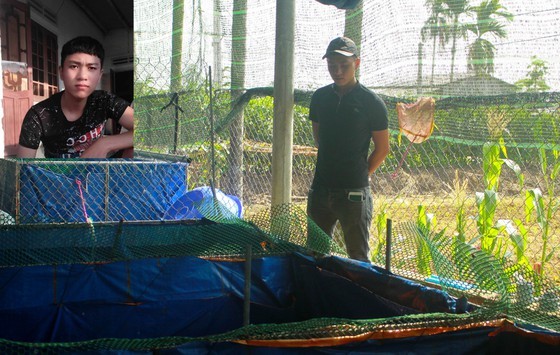 Thanh niên khởi nghiệp từ cá Koi, thu nửa tỷ mỗi năm-1