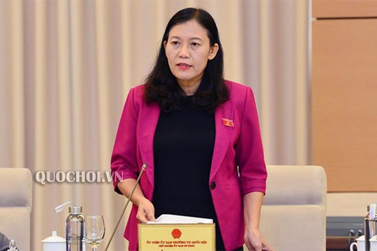 Những điều vô lý trong vụ Hồ Duy Hải từng được bà Lê Thị Nga chỉ rõ