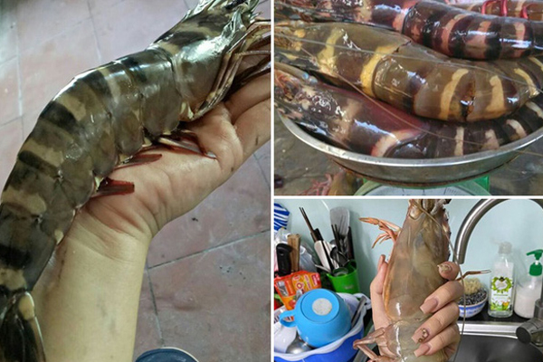 Khách hiếu kỳ quả lạ, hàng rong Hà Nội bán mây Thái với giá trên trời”-4