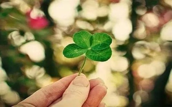Người có đuôi ngày sinh là số này sẽ gặp nhiều may mắn, đại cát đại lợi, cả đời sống trong phú quý bình an-3
