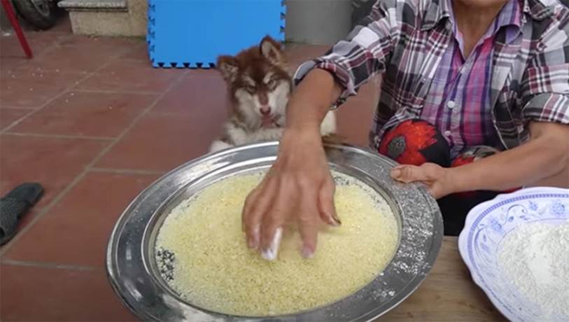 Bà Tân Vlog dùng tay trần sờ mó đồ ăn khổng lồ khiến người nhìn lập tức phản ứng vì thấy ghê-2