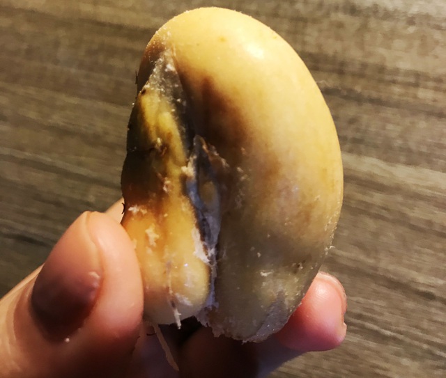 Khách hiếu kỳ quả lạ, hàng rong Hà Nội bán mây Thái với giá trên trời”-3
