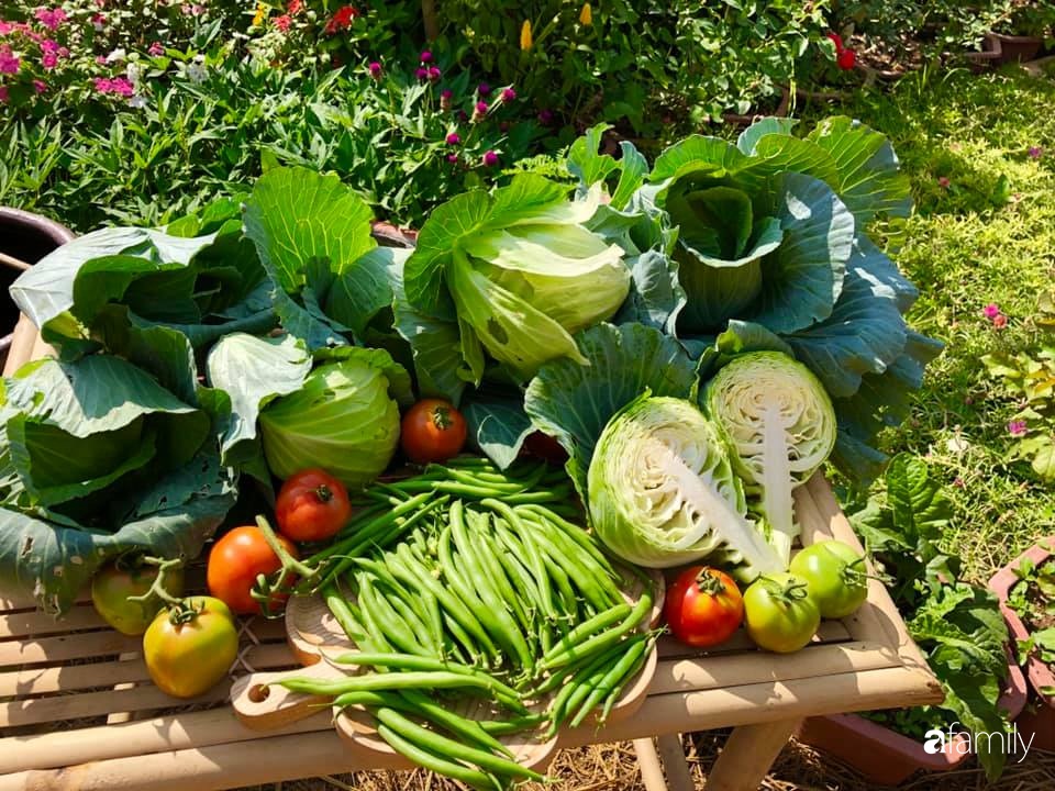 Bí quyết trộn đất giản đơn mà hiệu quả giúp khu vườn 70m² trồng cây gì cũng tốt tươi xanh mát của mẹ đảm ở Huế-13