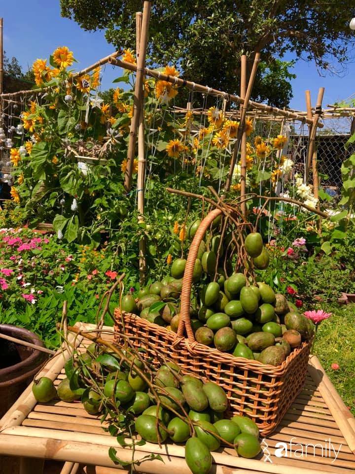 Bí quyết trộn đất giản đơn mà hiệu quả giúp khu vườn 70m² trồng cây gì cũng tốt tươi xanh mát của mẹ đảm ở Huế-16