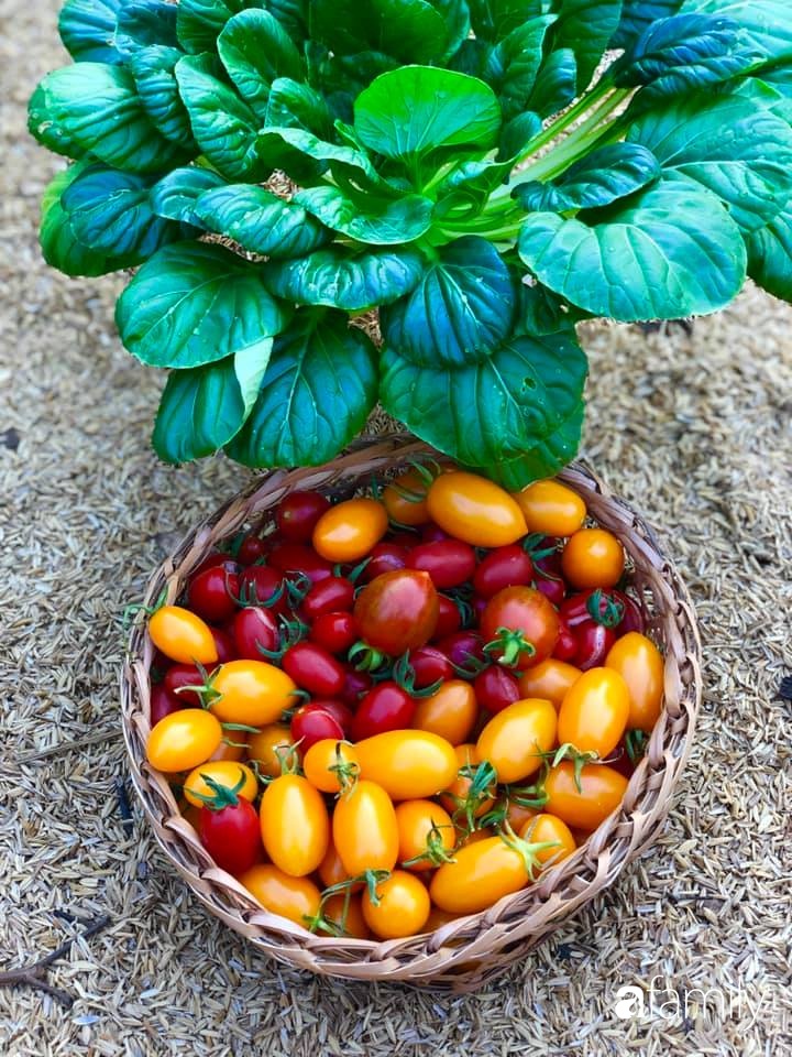 Bí quyết trộn đất giản đơn mà hiệu quả giúp khu vườn 70m² trồng cây gì cũng tốt tươi xanh mát của mẹ đảm ở Huế-24