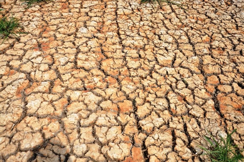 Nắng nóng năm 2020 có thể sẽ đạt kỷ lục, khốc liệt nhất trong vòng 140 năm-3