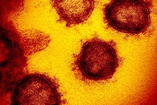 Phát hiện virus corona đột biến, có khả năng lây lan mạnh hơn trước