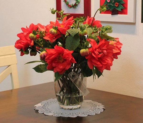 5 loại cây, hoa phá tan phong thủy, gia chủ chớ dại đặt trong nhà-4