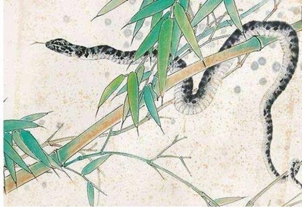 3 con giáp vẻ ngoài lạnh lùng nhưng tốt bụng, biết san sẻ cả sự giàu có cho người khác, xứng đáng để kết thân-3