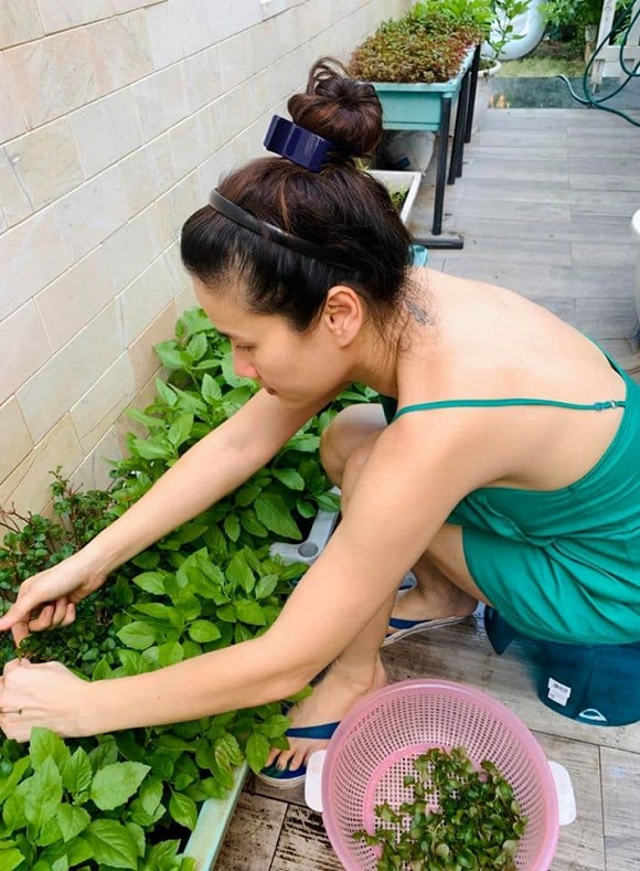 Khu vườn ngập tràn hoa và rau sạch của diễn viên Thân Thúy Hà-1