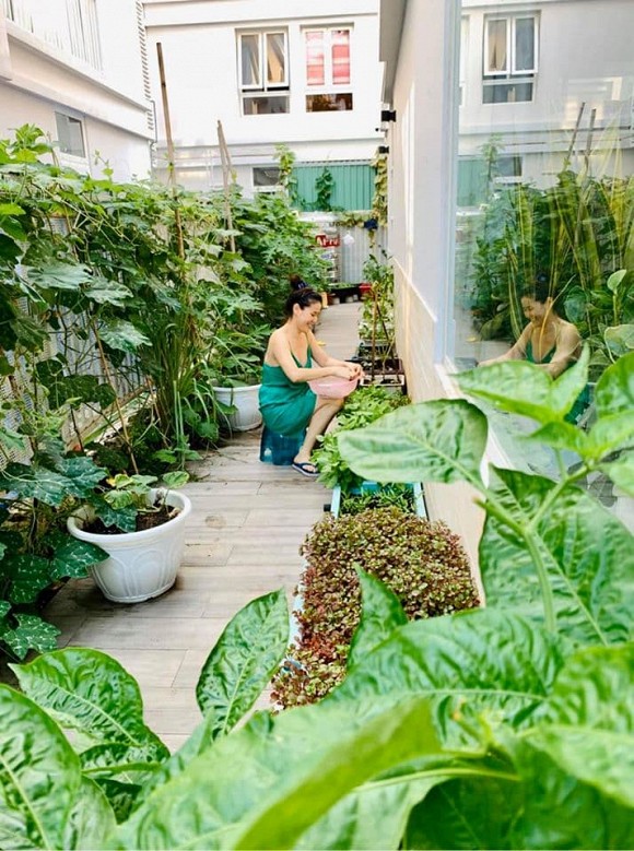 Khu vườn ngập tràn hoa và rau sạch của diễn viên Thân Thúy Hà-2