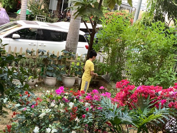 Khu vườn ngập tràn hoa và rau sạch của diễn viên Thân Thúy Hà-18
