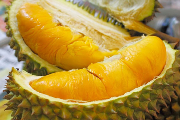Choose female durian for sweet and meaty flesh