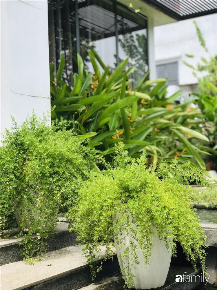 Chàng sinh viên kiến trúc tự thiết kế sân vườn rộng 200m² với cây xanh và ao cá cho gia đình 4 thế hệ ở ngoại ô Đà Nẵng-6