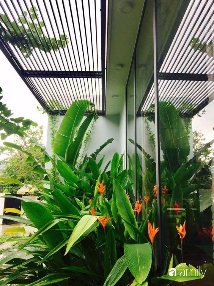Chàng sinh viên kiến trúc tự thiết kế sân vườn rộng 200m² với cây xanh và ao cá cho gia đình 4 thế hệ ở ngoại ô Đà Nẵng-15