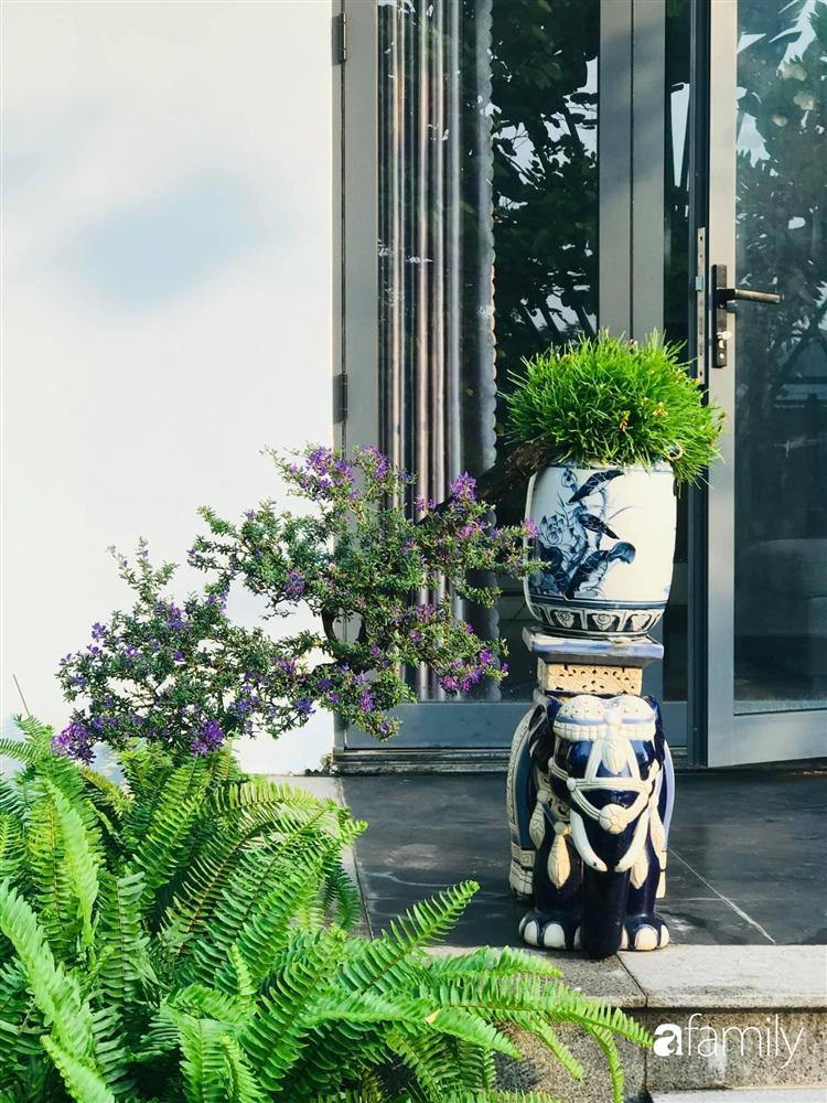 Chàng sinh viên kiến trúc tự thiết kế sân vườn rộng 200m² với cây xanh và ao cá cho gia đình 4 thế hệ ở ngoại ô Đà Nẵng-16