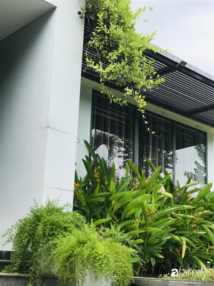 Chàng sinh viên kiến trúc tự thiết kế sân vườn rộng 200m² với cây xanh và ao cá cho gia đình 4 thế hệ ở ngoại ô Đà Nẵng-25