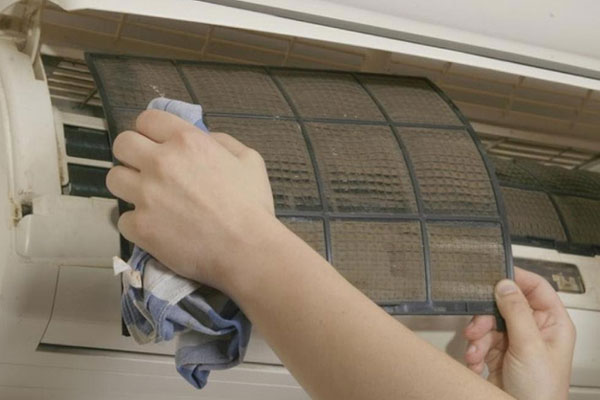 Bạn gái Elon Musk chia sẻ về chênh lệch thu nhập giữa mình và bạn trai tỷ phú-4