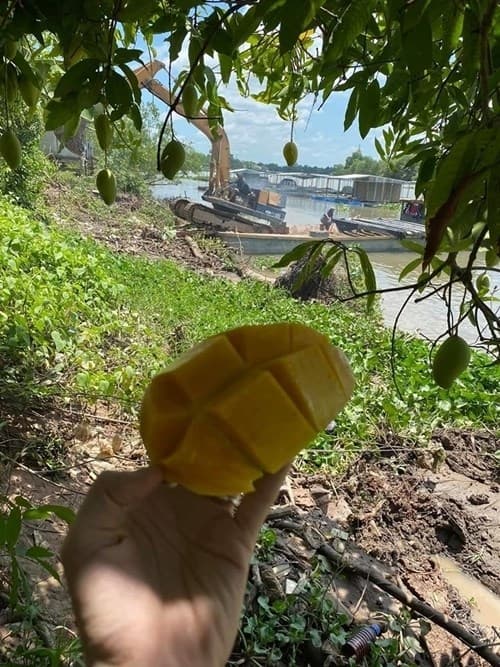 Khám phá nông trại rộng 50.000m2 của gia đình Vân Trang-6