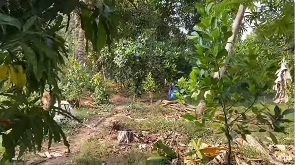 Khám phá nông trại rộng 50.000m2 của gia đình Vân Trang-7