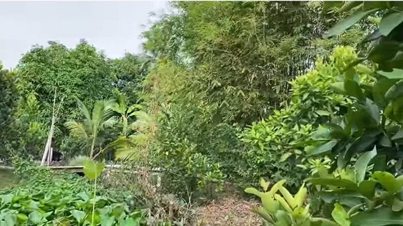 Khám phá nông trại rộng 50.000m2 của gia đình Vân Trang-9