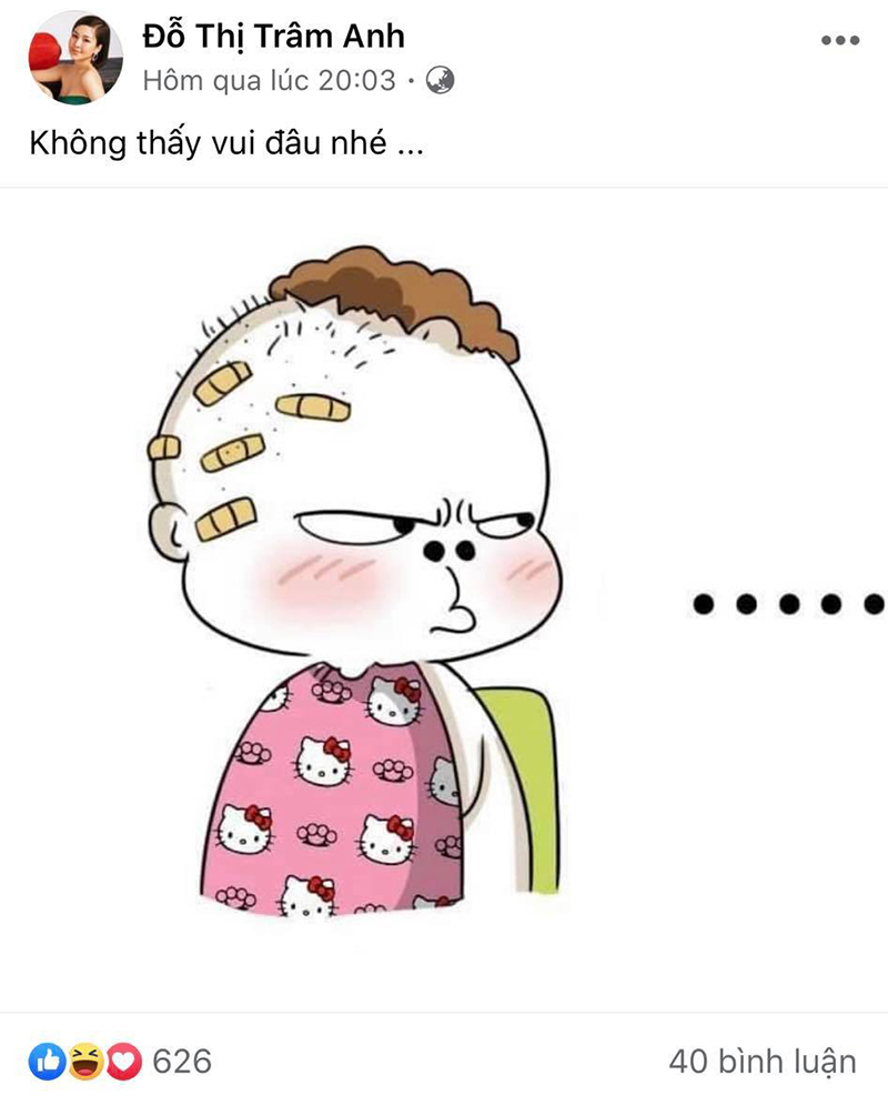 Lên tiếng đính chính vẫn bị đồn cặp kè đại gia ở Đà Lạt, hotgirl Trâm Anh nổi nóng với antifan-3