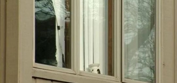 Tiết lộ nguyên nhân dẫn đến cái chết thương tâm của nhà nghiên cứu về virus corona người TQ-3