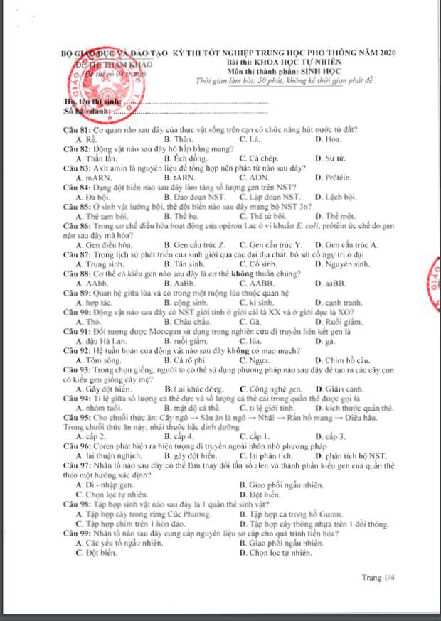 Đề thi tham khảo kỳ thi tốt nghiệp THPT năm 2020 môn Sinh học-1