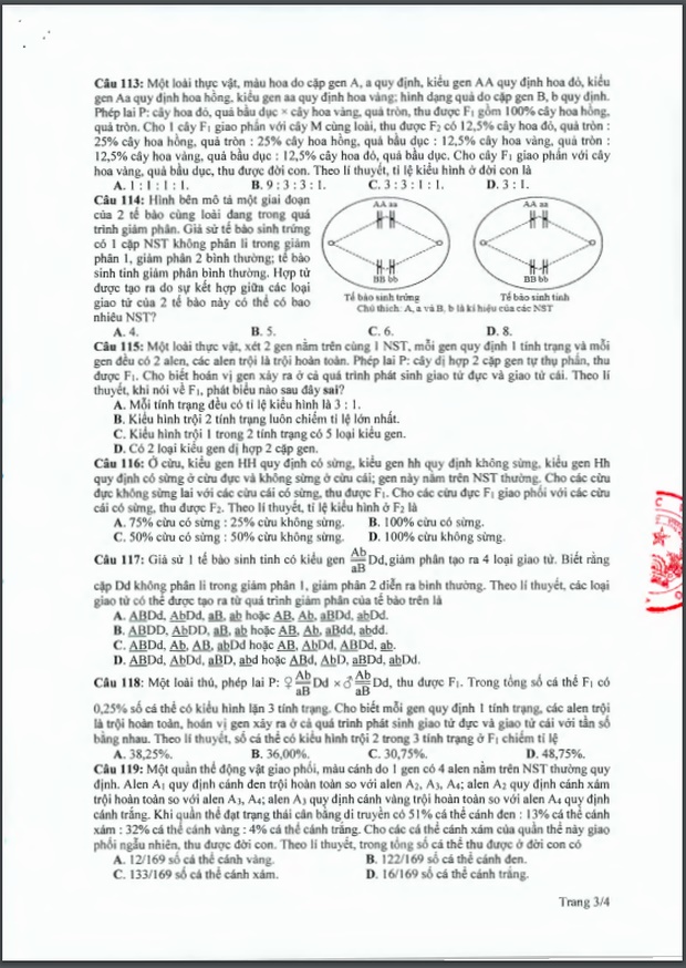 Đề thi tham khảo kỳ thi tốt nghiệp THPT năm 2020 môn Sinh học-3