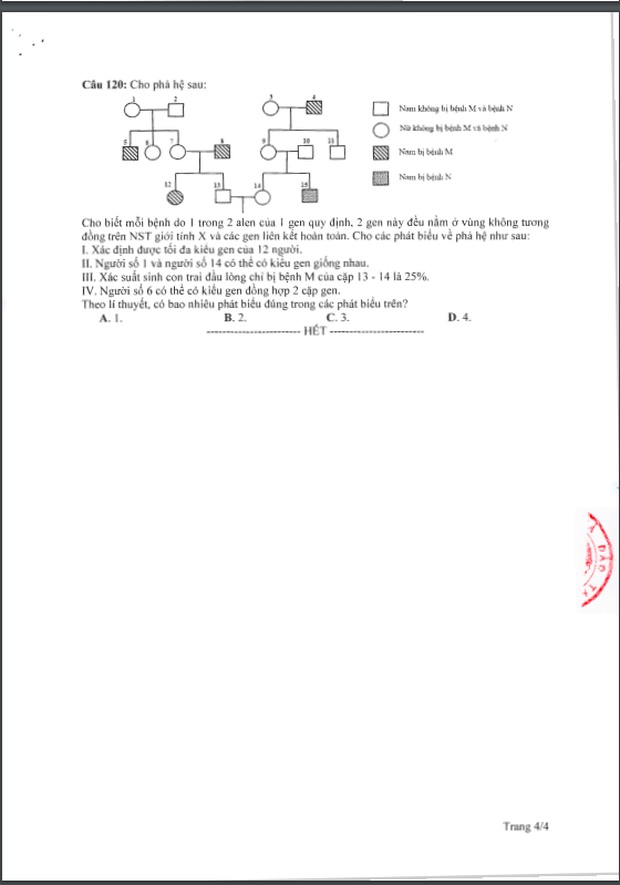Đề thi tham khảo kỳ thi tốt nghiệp THPT năm 2020 môn Sinh học-4