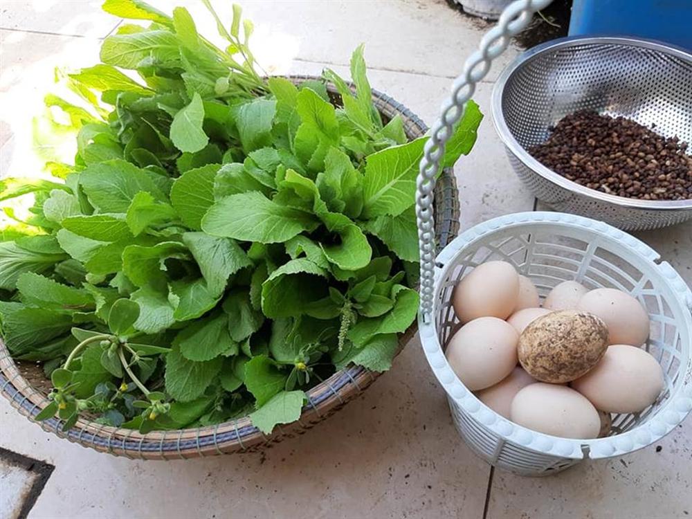 Nông trại trên sân thượng trồng đủ loại rau xanh, quả ngọt của nữ giáo viên Đà Nẵng-15