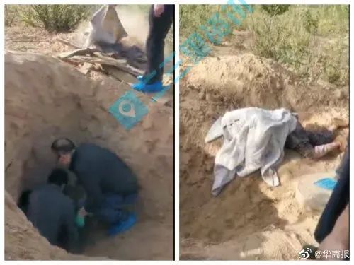 Người đàn ông đưa mẹ già ra ngoài mấy ngày không về, sau khi bị phát hiện mới thừa nhận làm chuyện đại nghịch bất đạo-1