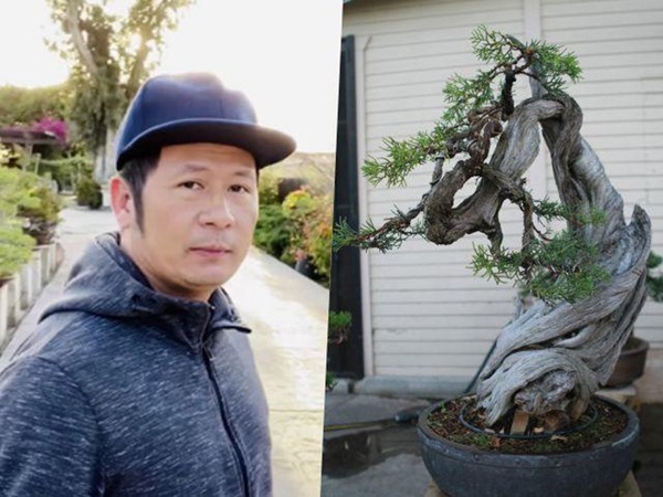 Bằng Kiều cắt tỉa và tạo dáng vườn cây cảnh bonsai đồ sộ ở Mỹ-2